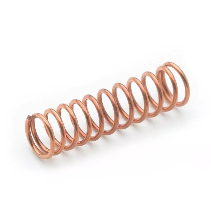 SPRING FOR ETERNA CARTRIDGE