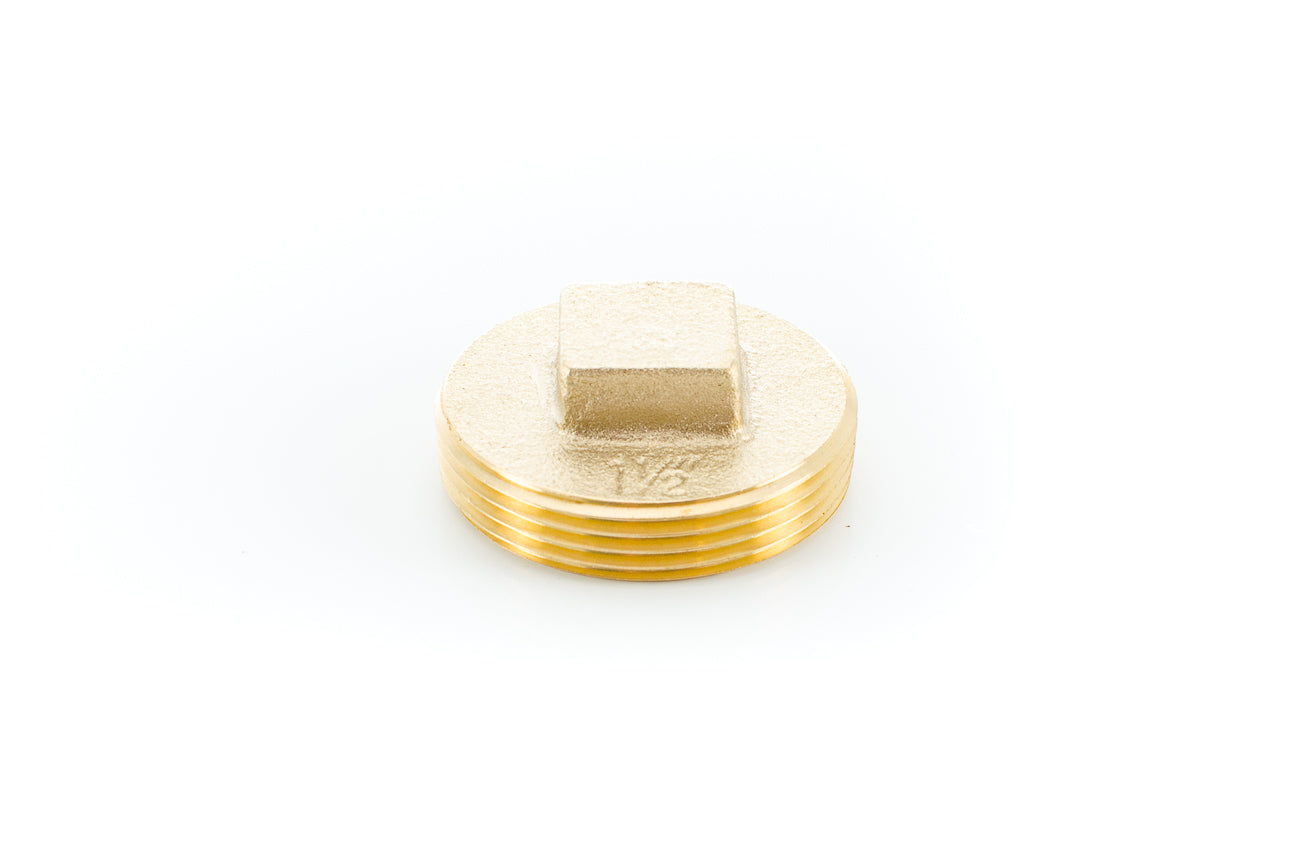 1-1/2 RAISED HEAD BRASS PLUG