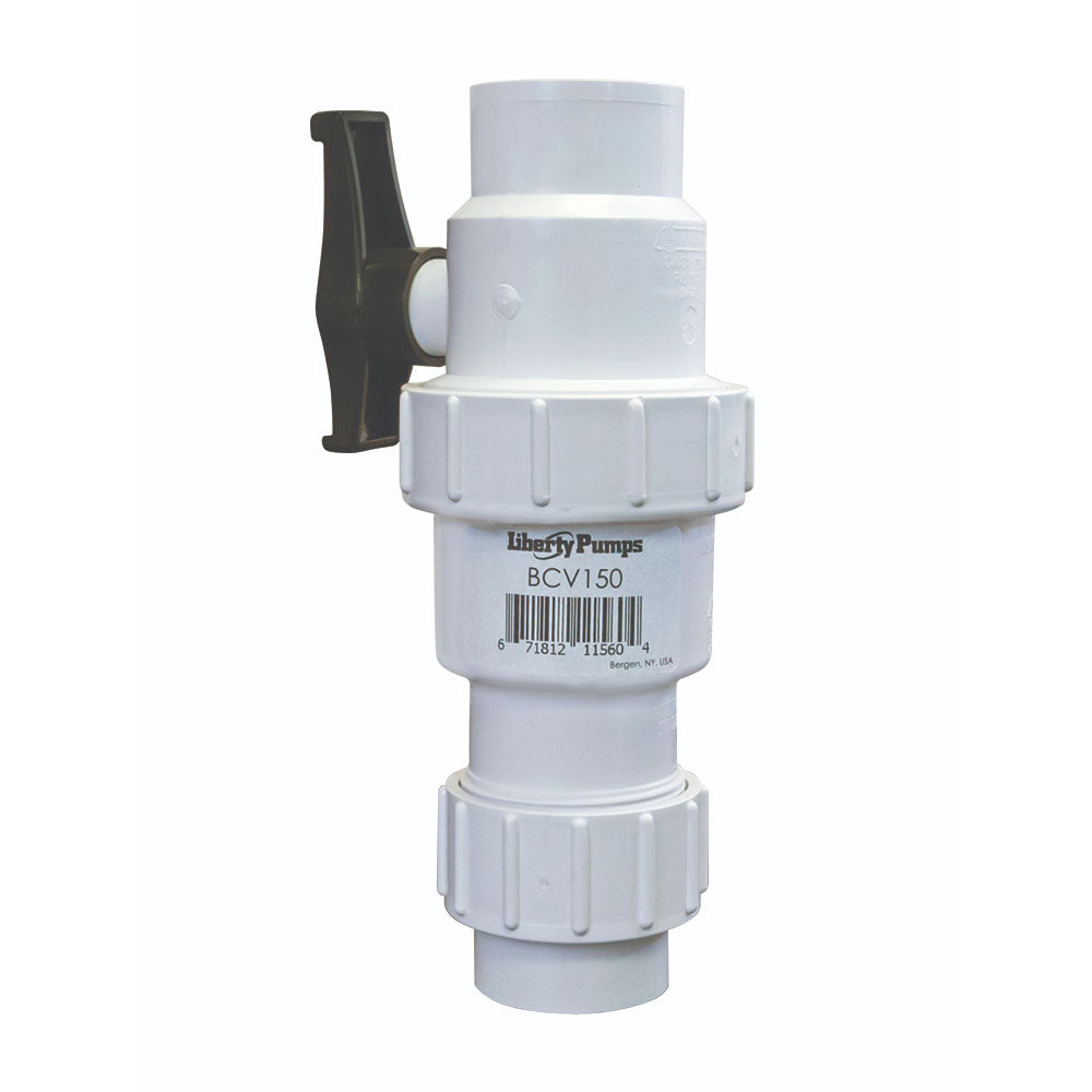 2 PVC BALL/CHECK VALVE