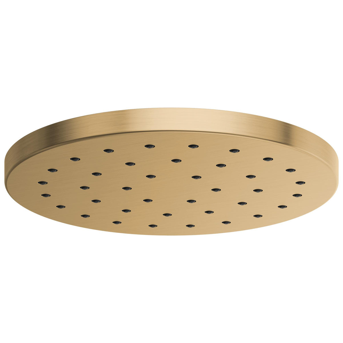 Showerhead - Stainless Steel - 2.5 GPM