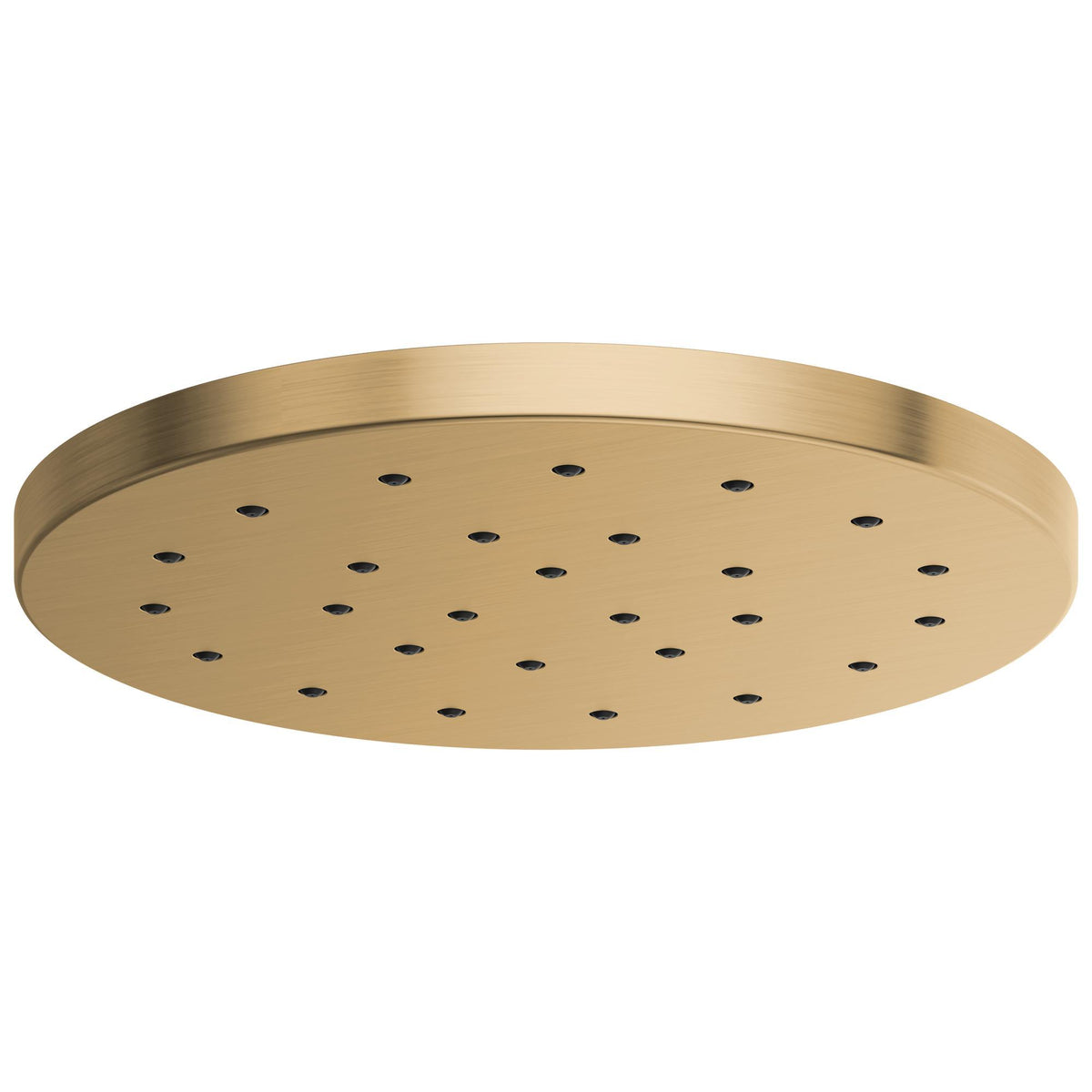 Showerhead - Stainless Steel - 1.75 GPM