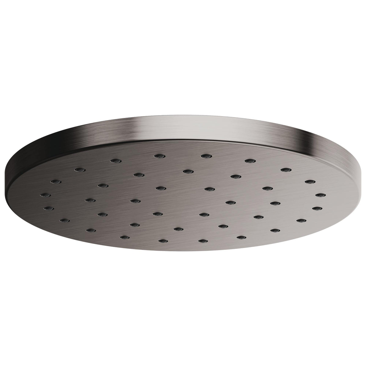 Showerhead - 81987-SL-2.5
