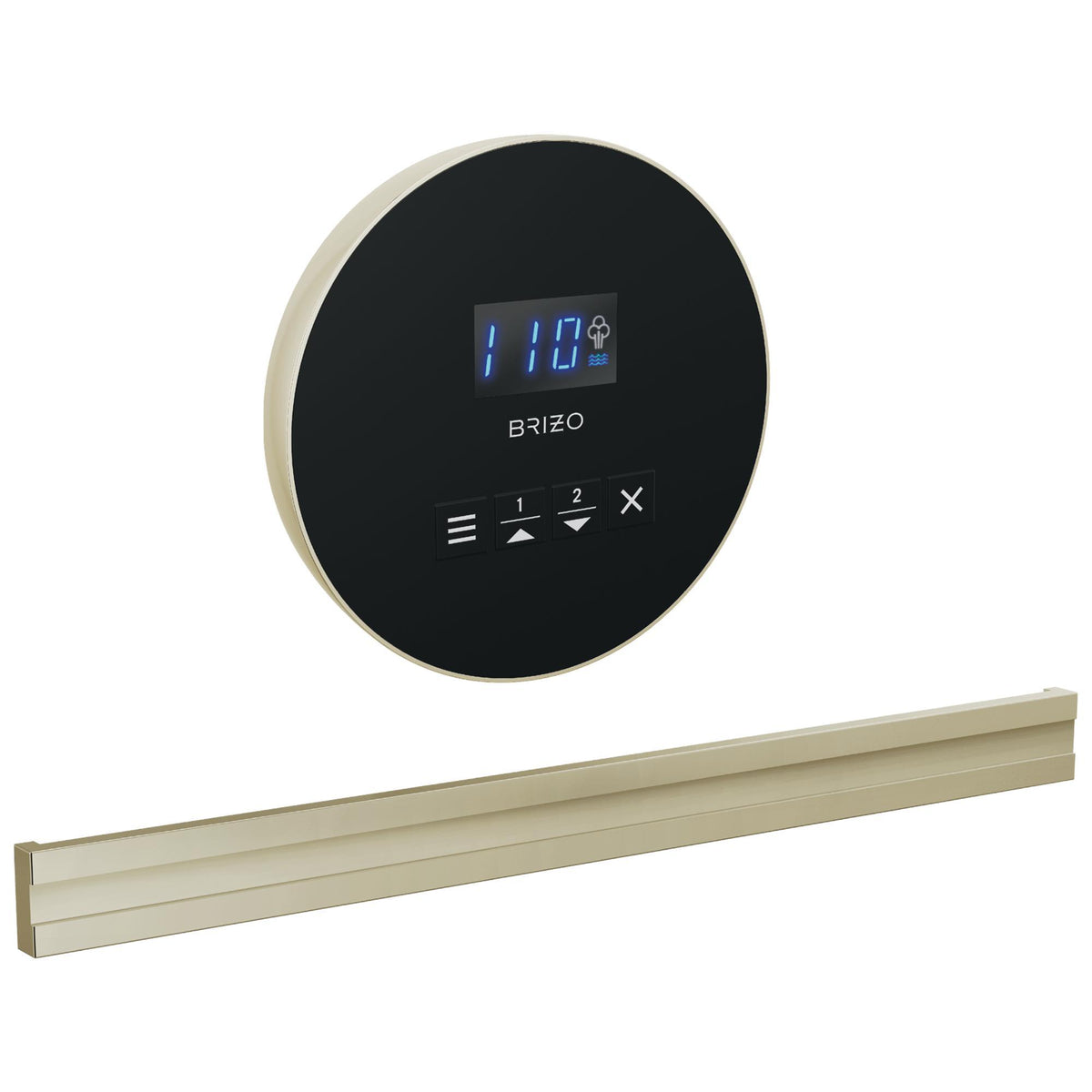 Bilateral Steam Shower Control - 8CB-250R-PN-L