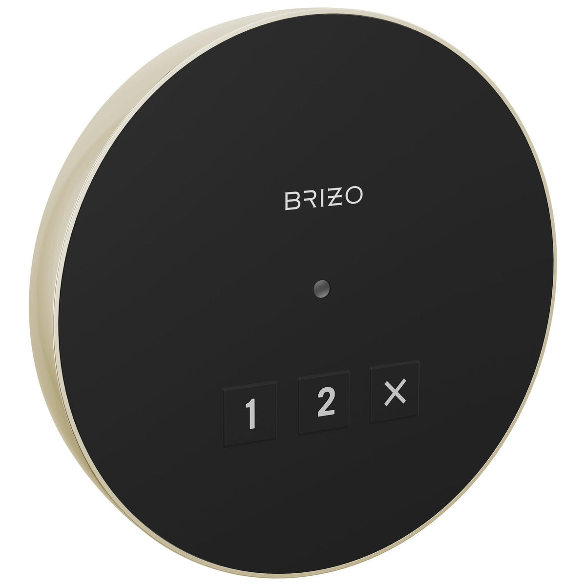 Round Steam Shower Control - 8CN-220R-PN-L