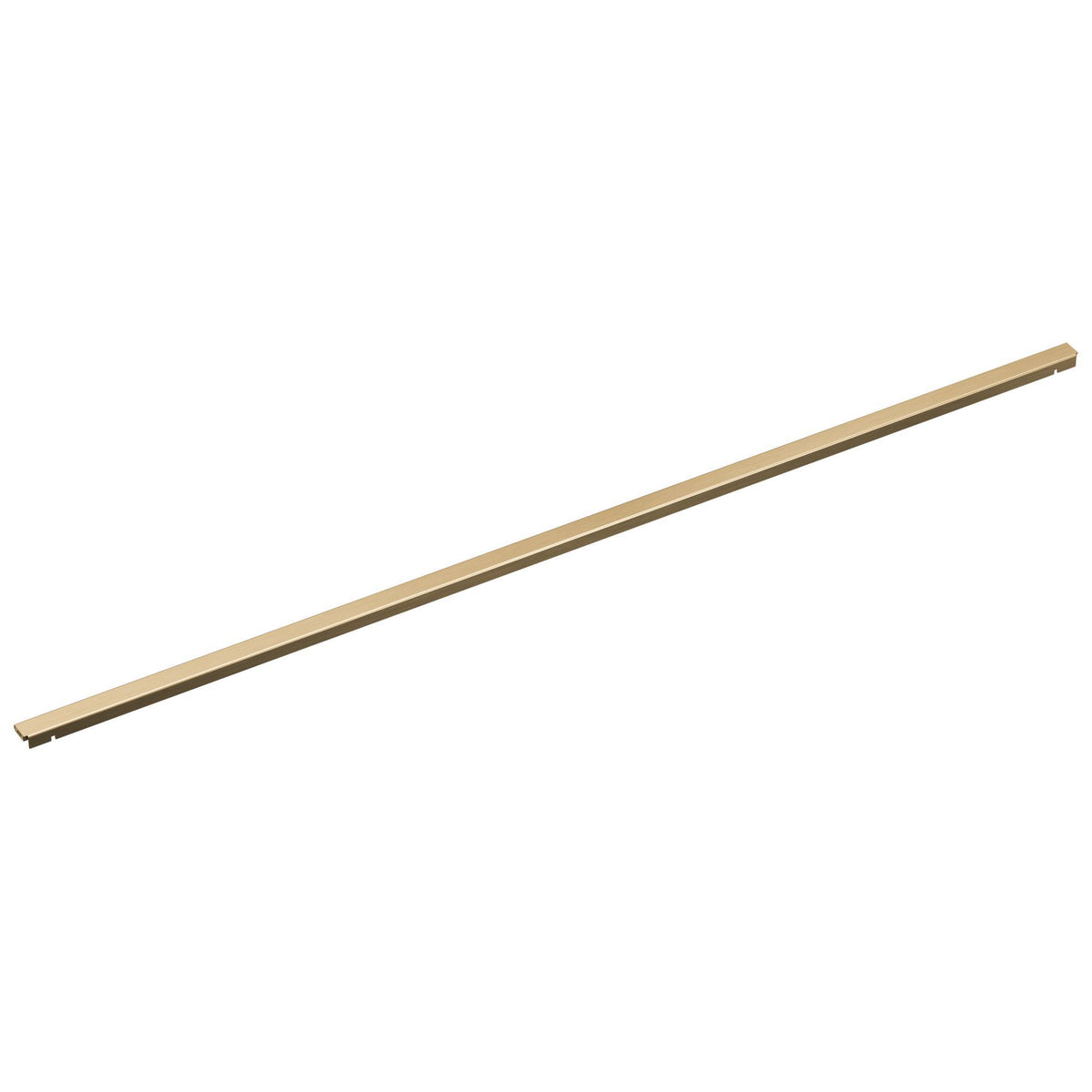 Brizo® BT0734870-GL Linear Trim, Wall Mount, Import