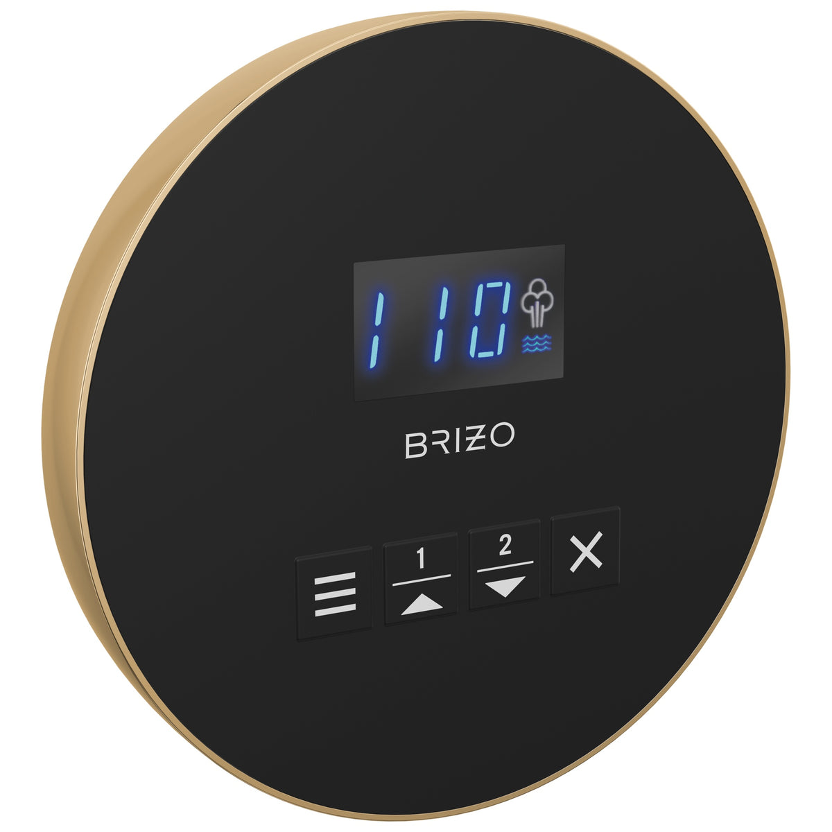 Round Steam Shower Control - Polished Gold - Surface