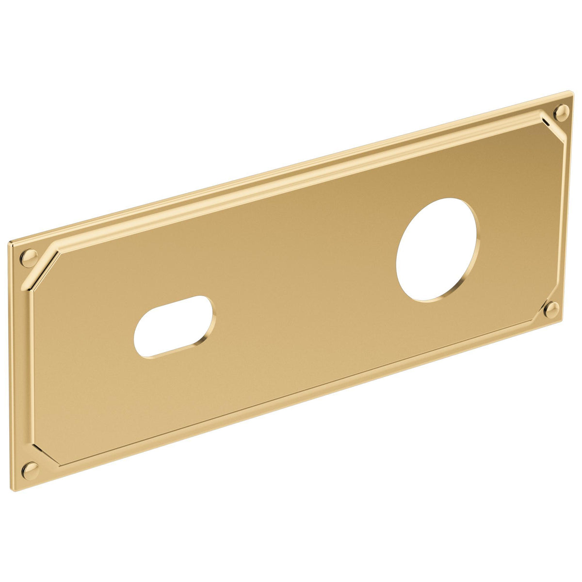Brizo® Invari™ Escutcheon Plate, For Use With Invari™ T65776LF-LHP 2-Hole Wall Mount Lavatory Faucet, 0.19 in L x 9-1/2 in W x 3-1/2 in H, Import