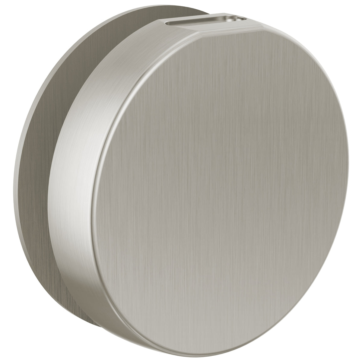 Contemporary Round Steam Head - Brushed Nickel - 3-3/8" Dia