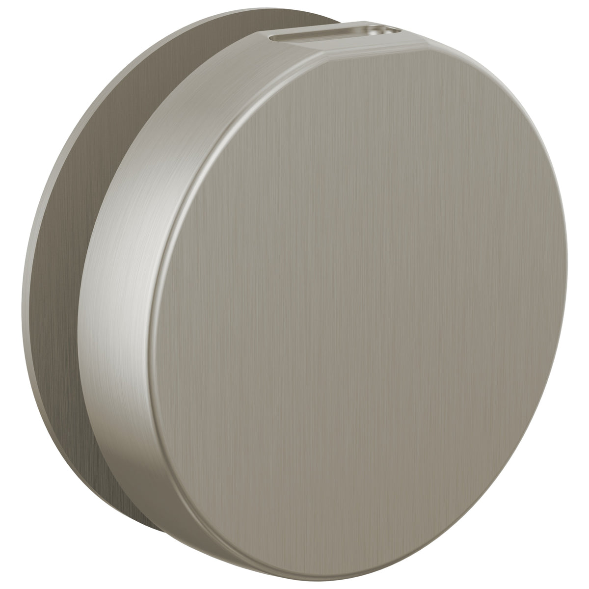 Contemporary Round Steam Head - Luxe Nickel - 3-3/8" Dia