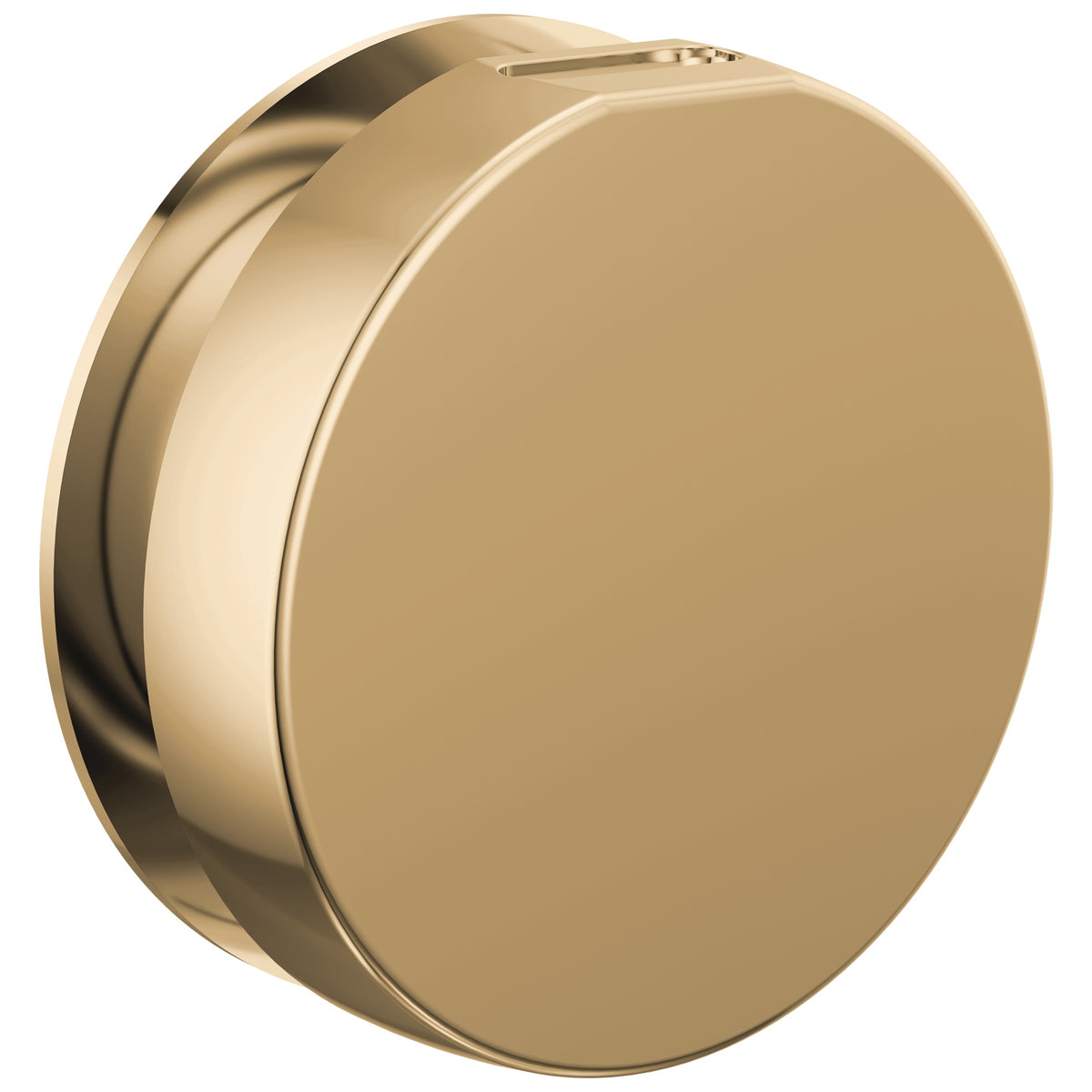 Contemporary Round Steam Head - Polished Gold - 3-3/8" Dia