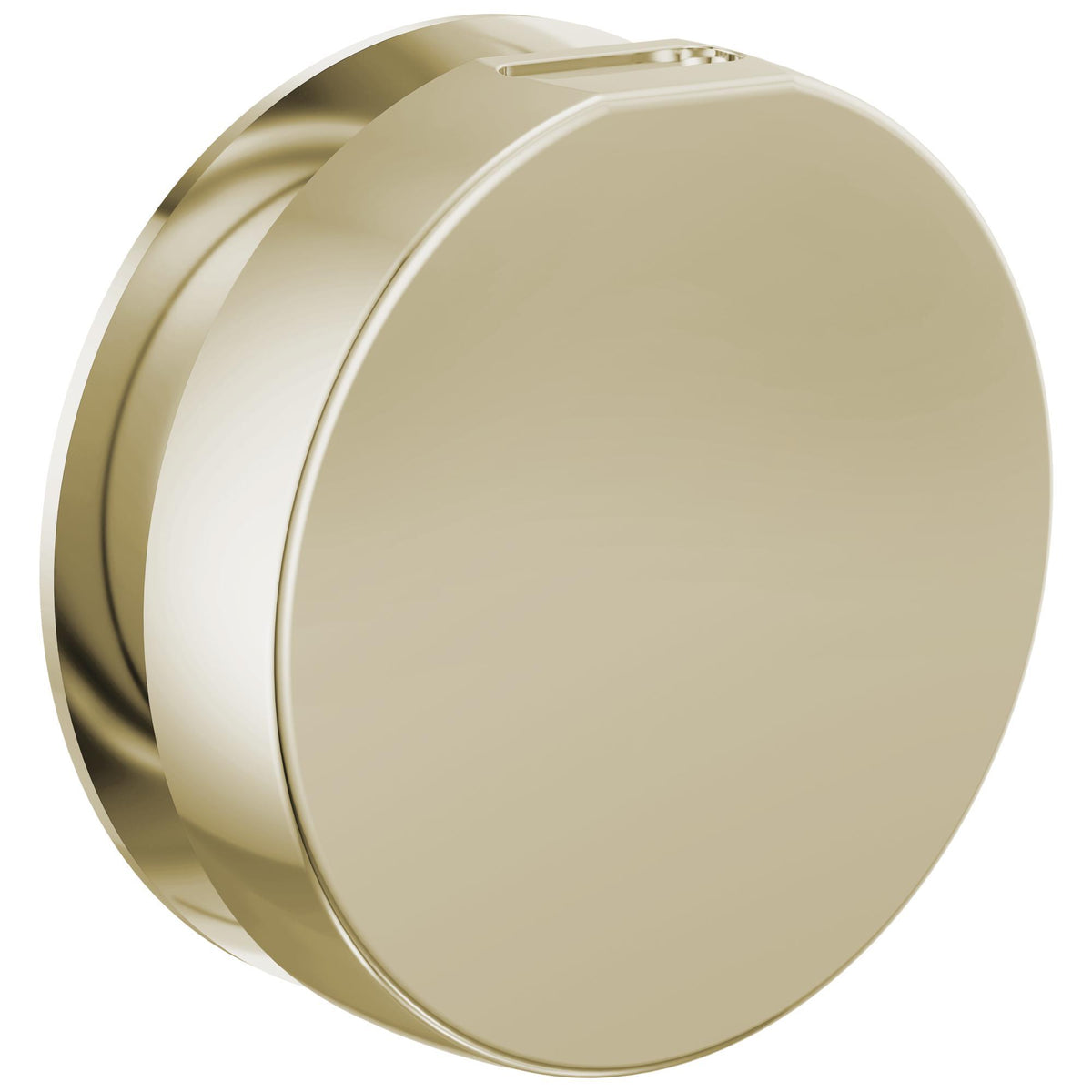 Contemporary Round Steam Head - Polished Nickel - 3-3/8" Dia