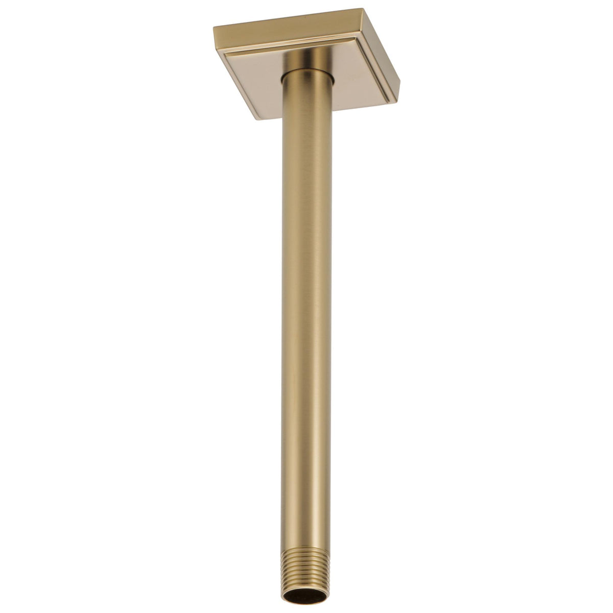 Shower Arm and Flange - Luxe Gold - 10" L