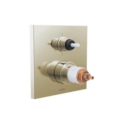 17 Series Square Thermostatic Valve Trim, Zinc, Wall