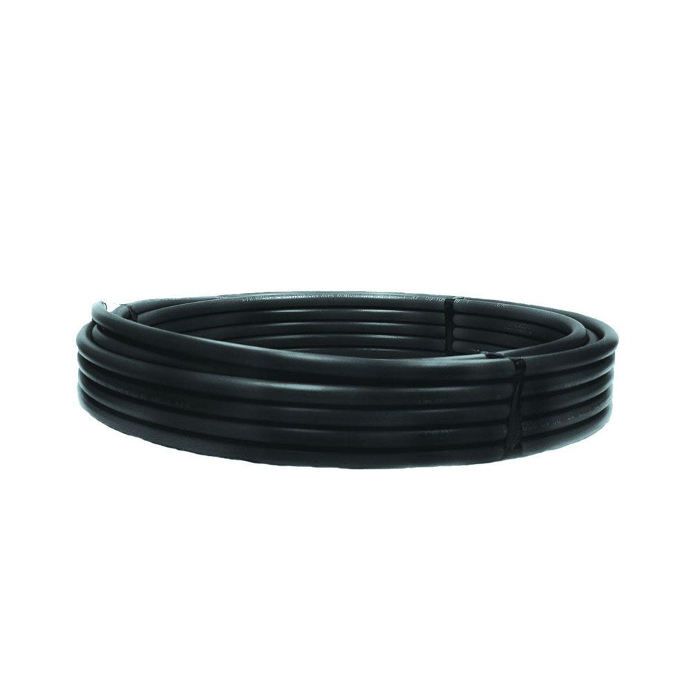 3/4 X 100 250# CTS PURE CORE