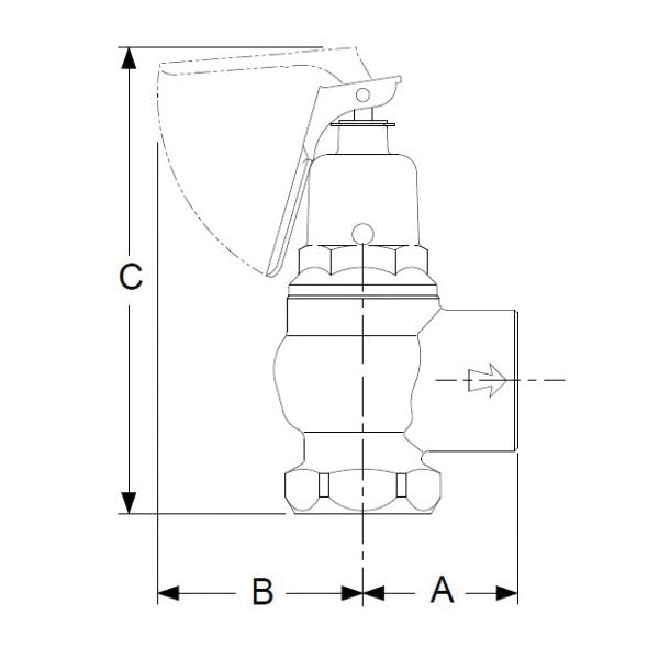 F-95 Expanded Outlet Pressure Relief Valve - 3/4 x 1"