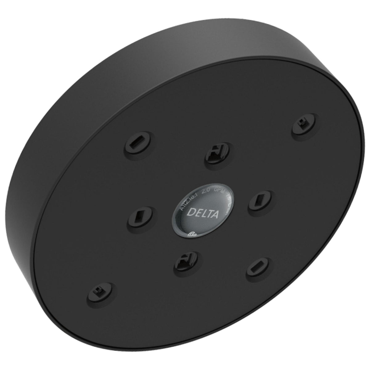 DELTA® RP70175BL Single-Setting Raincan Shower Head, 2 gpm, 1 Sprays, Wall Mount, 5-13/32 in Dia Head, Import