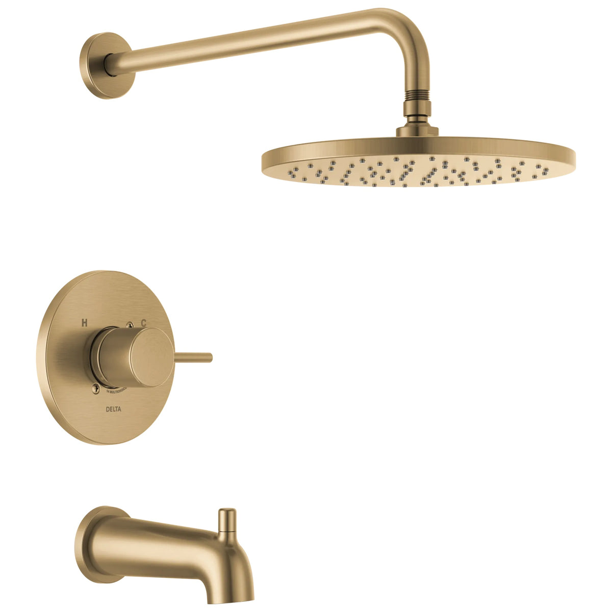 Round Plate Hand Shower and Rough Valve - Champagne Bronze