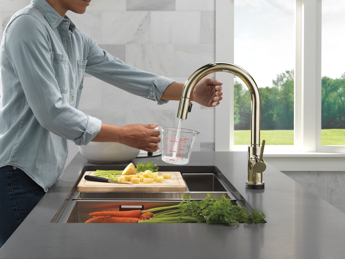 Trinsic - Pull-Down Kitchen Faucet - 16-3/16" H - 1 Handle