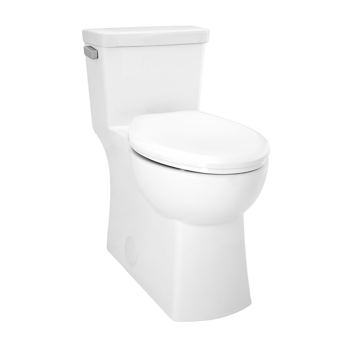 Burr Ridge - 1-Piece Toilet - White - Floor Mount