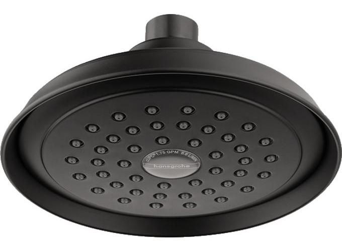 Hansgrohe 4780670 Joleena Shower Head, 1.75 gpm Max Flow