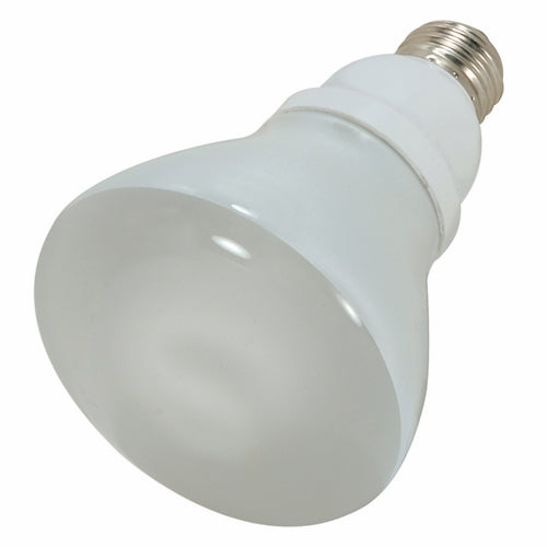 Compact Fluorescent Lamp - 120 V AC - 15 W