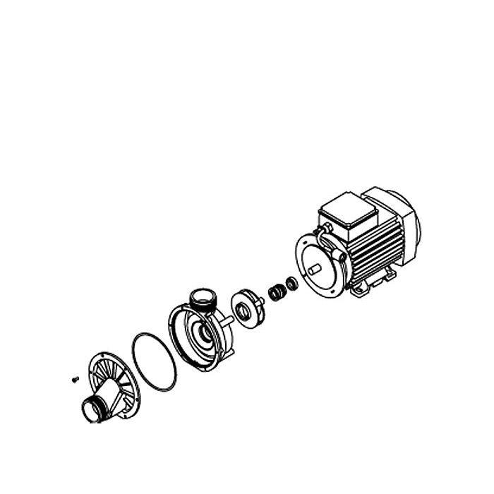 Variable Speed Pump Assembly - 230 V 1.5 HP