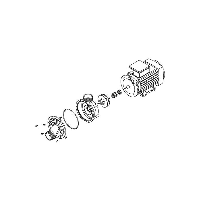 Variable Speed Pump Assembly - 230 V 2 HP