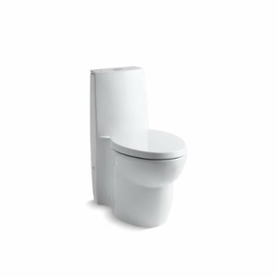 Saile - Elongated Bowl - 15" H Rim - Floor Mount