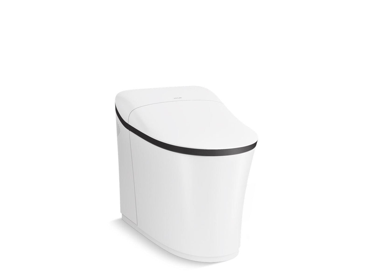 Eir Comfort Height - Toilet - Wall Mount - Elongated