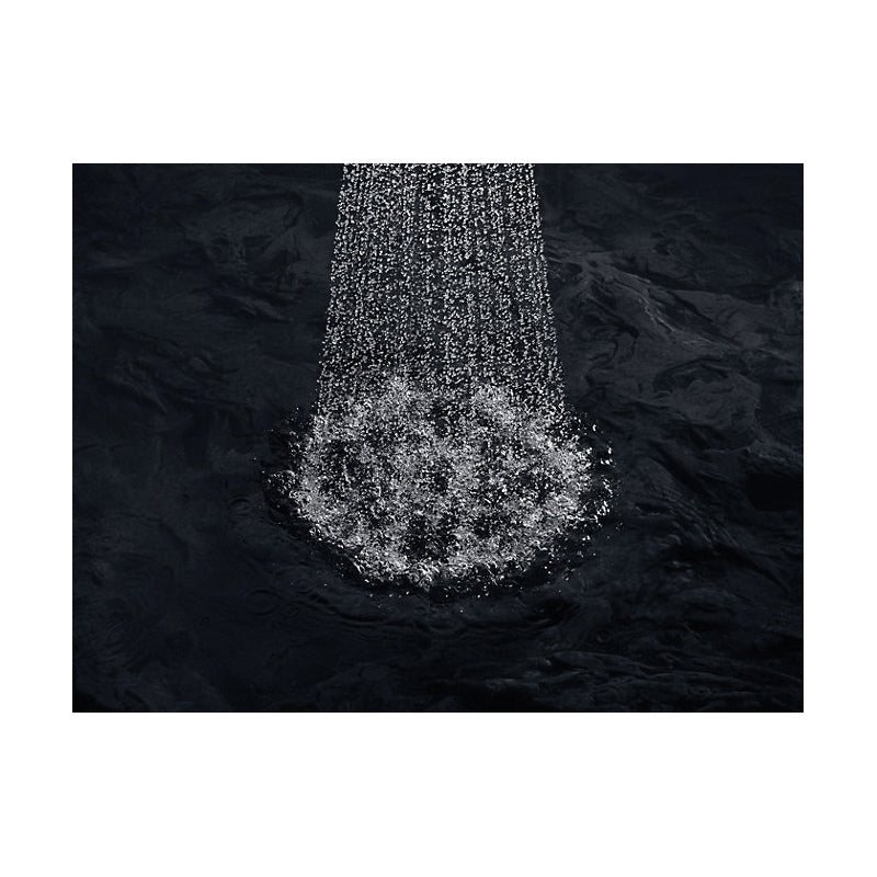 Flipside - Showerhead - Wall Mount