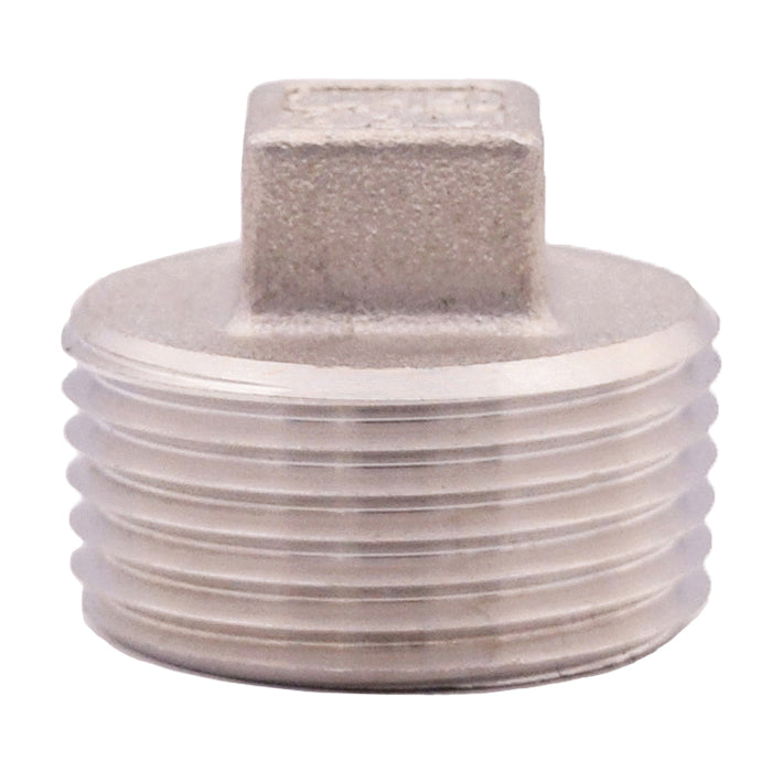 LEGEND 404-181 Square Head Plug, 1/4 in Nominal, Thread End Style, 304 Stainless Steel, Import