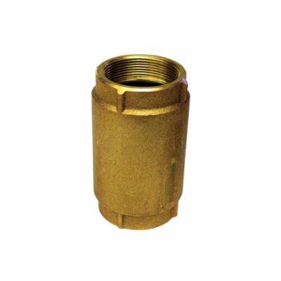 Merrill™ CVR200 600 Check Valve, 2 in, FNPT, Brass Body