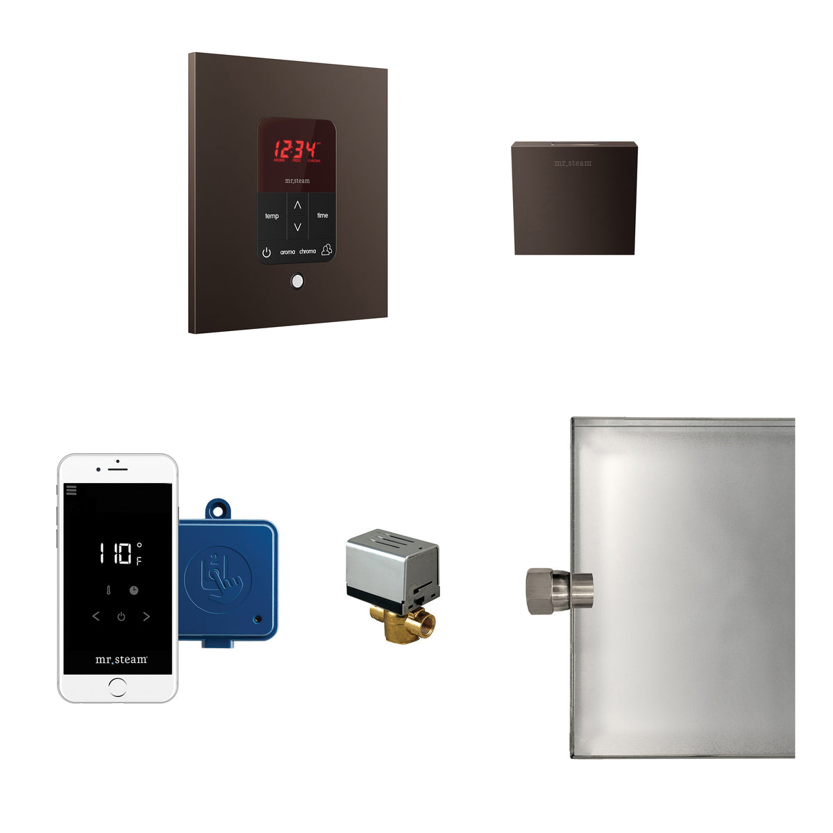 Butler - Steam Shower Control Package - Wall Mount