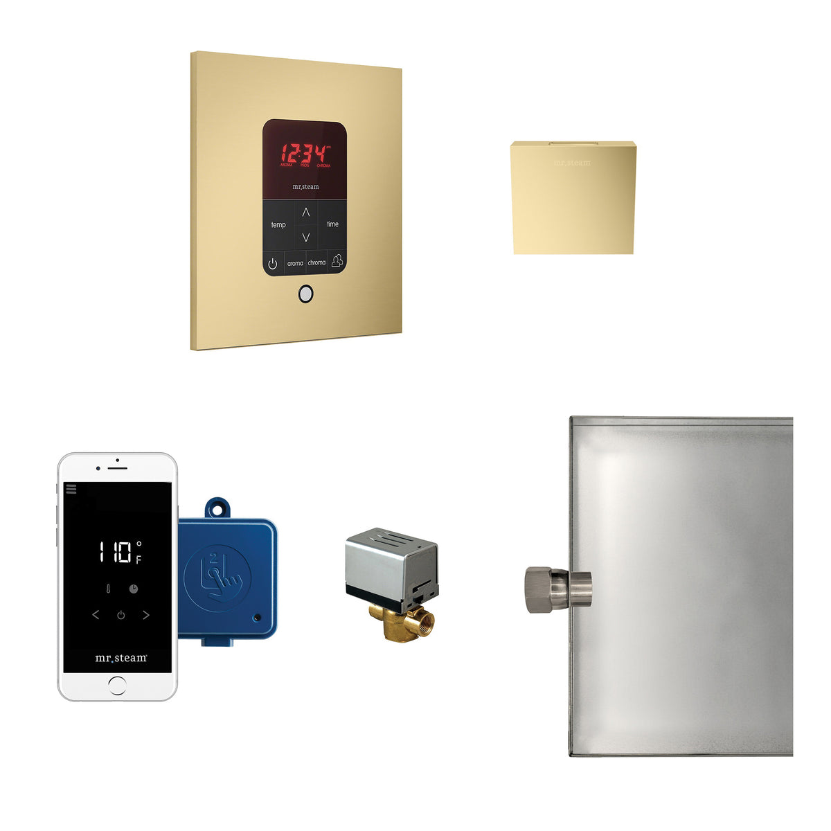 Butler - Steam Shower Control Package - Square Panel