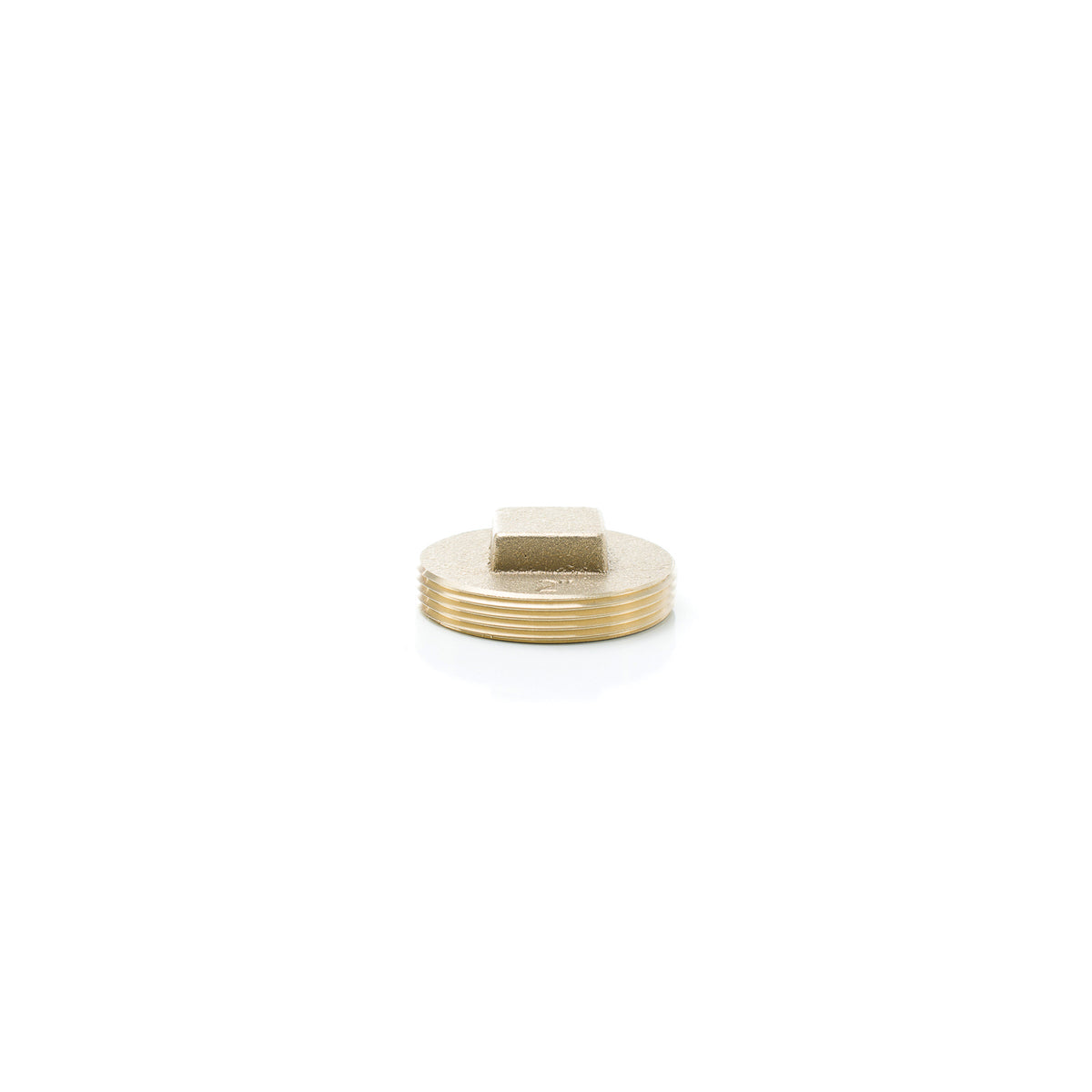 PASCO 1847 Raised Head Cleanout Plug, 2 in, Brass