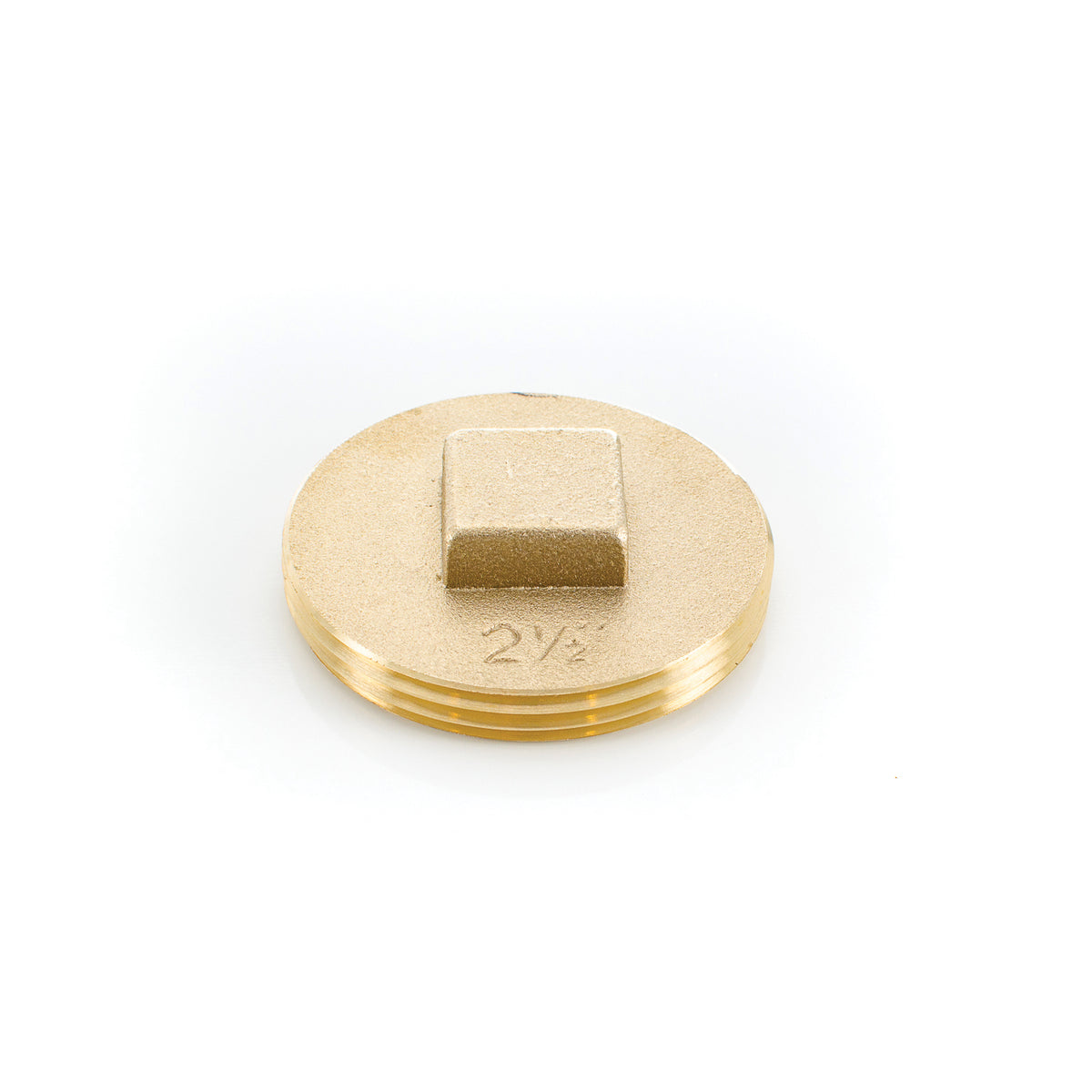 PASCO 1848 Raised Head Cleanout Plug, 2-1/2 in, Brass