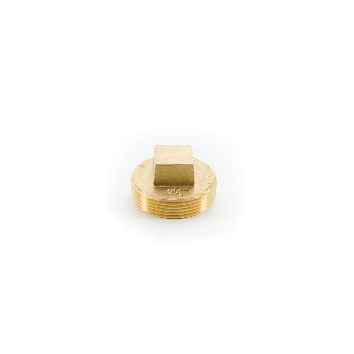 PASCO 1860 Raised Head Cleanout Plug, 2-1/2 in, Brass
