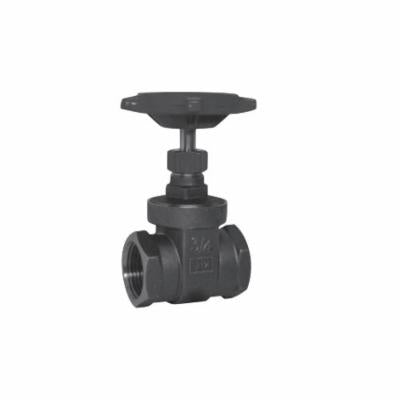 206F - 3/4 Standard Gate Valve - Brass - Thread