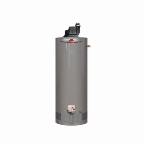 Professional Classic - Pv Gas Water Heater - RH67