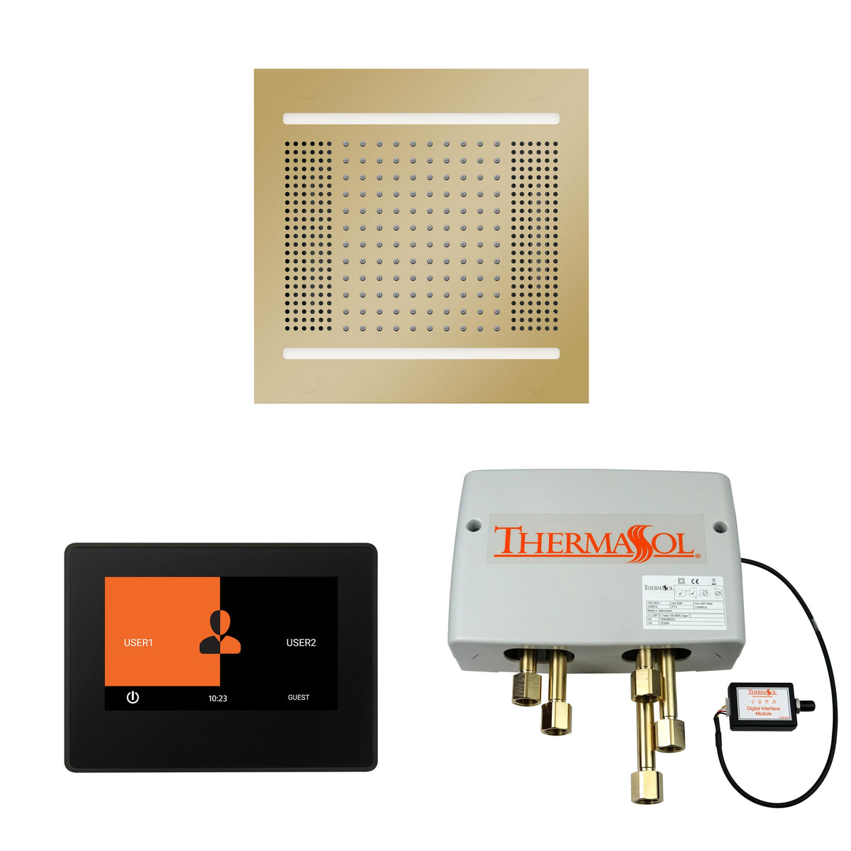 Hydrovive 14 - Shower Kit - Polished Brass