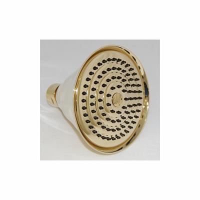 Toto® THU4224 Shower Head, LifeKoat™