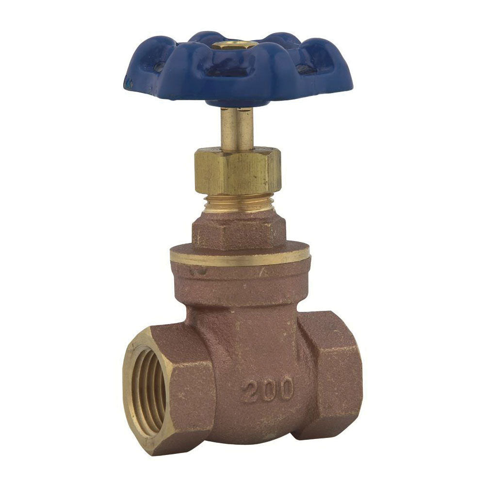 Wgv Gate Valve - 1" - FNPT