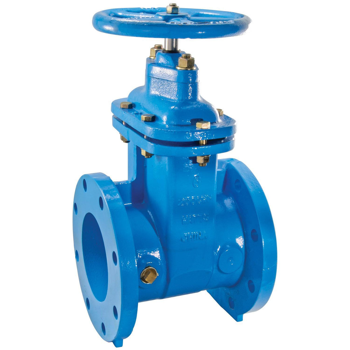 405 Gate Valve - Flanged - Cast Iron Body