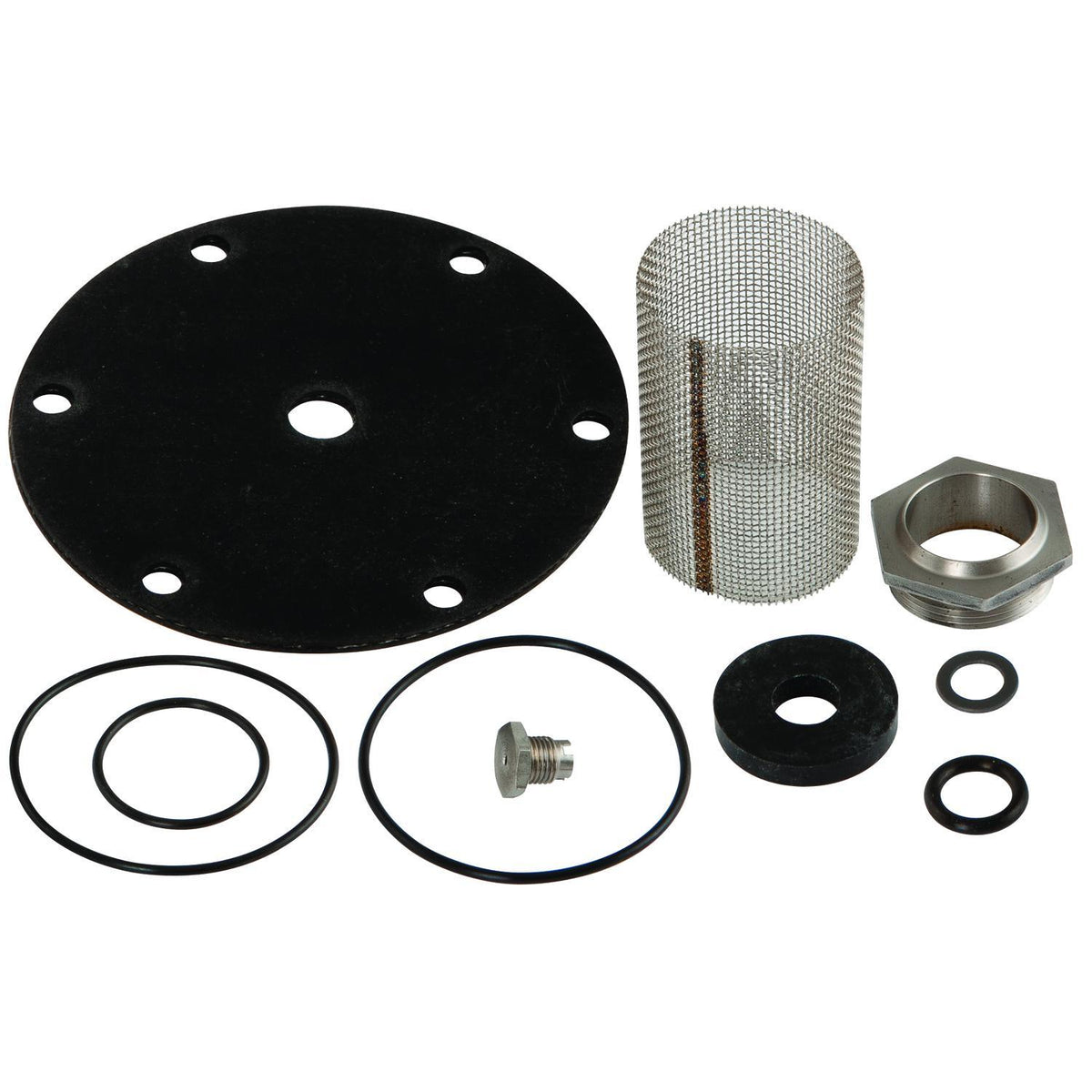 Valve Repair Kit - for Model LF25AUB