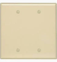 2G LT ALMND BLANK WALL PLATE