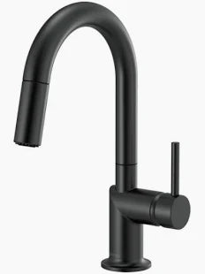 CHROME MOEN HANDHELD