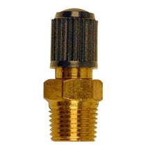 AIR VALVE WITH CAP