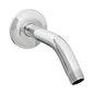 CLASSIC II SHOWER ARM/FLANGE