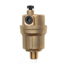 AUTO AIR VENT 1/4 NPT