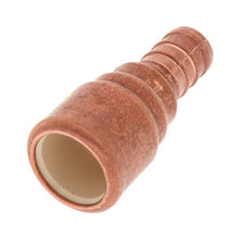 1/2" S/C CPVC X PEX ADAPT CPL